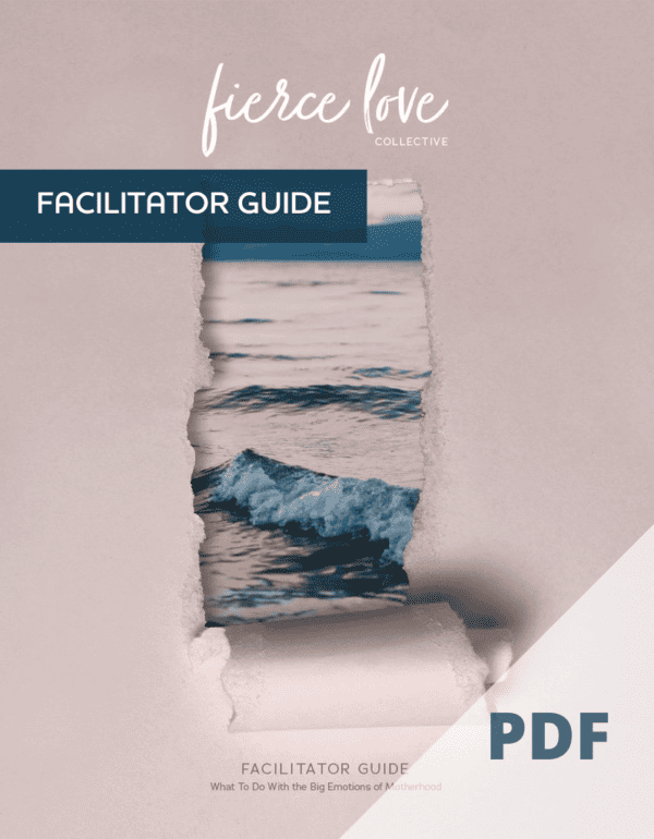 Fierce Love Facilitator Guide (PDF)