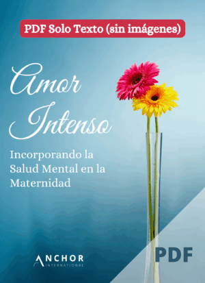 Fierce Love Workbook in Spanish (PDF Text Only)